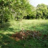 Terrain 600 m² / SAINT-CHAPTES / 30190