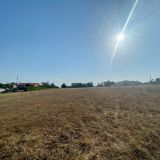 Terrain 3664 m² / LABRUGUIERE / 81290