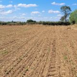 Terrain 2198 m² / PAMPELONNE / 81190