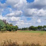 Terrain 2198 m² / PAMPELONNE / 81190