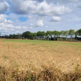 Terrain 6575 m² / PAMPELONNE / 81190