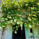 Maison 6 pièces / 150 m² / 22 000 € / BLONDEFONTAINE