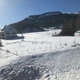 Commerces 20 pièces / 1000 m² / 235 000 € / SELONNET