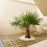 Appartement 3 pièces / 75 m² / 270 000 € / PERTUIS