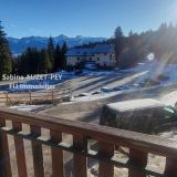 Appartement 1 pièce / 24 m² / 60 500 € / SELONNET