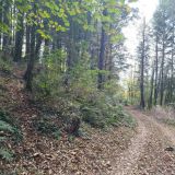 Terrain 120596 m2 m² / SAINT-SALVY-DE-LA-BALME / 81490