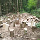 Terrain 120596 m2 m² / SAINT-SALVY-DE-LA-BALME / 81490
