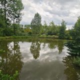 Terrain 6557 m² / DOURIEZ / 62870