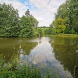 Terrain 6557 m² / DOURIEZ / 62870