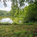 Terrain 6557 m² / DOURIEZ / 62870