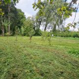 Terrain 6557 m² / DOURIEZ / 62870