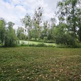 Terrain 6549 m² / DOURIEZ / 62870