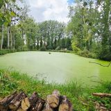 Terrain 13106 m² / DOURIEZ / 62870
