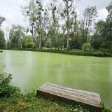 Terrain 13106 m² / DOURIEZ / 62870