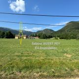 Terrain 11496 m² / SELONNET / 04140