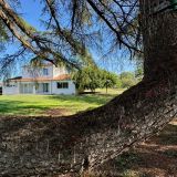 Maison 10 pièces / 204 m² / 349 000 € / GUITALENS-L'ALBAREDE