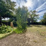 Maison 4 pièces / 68 m² / 121 900 € / CASTRES