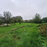 Terrain 1188 m² / HEIDWILLER / 68720
