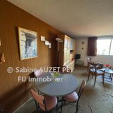 Appartement 2 pièces / 29 m² / 55 000 € / SELONNET Appartement 2 pièces / 29 m² / 55 000 € / SELONNET