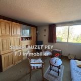 Appartement 2 pièces / 29 m² / 55 000 € / SELONNET Appartement 2 pièces / 29 m² / 55 000 € / SELONNET