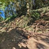 Terrain 67 599 m² / SAINT-SALVY-DE-LA-BALME / 81490