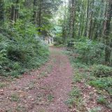 Terrain 67 599 m² / SAINT-SALVY-DE-LA-BALME / 81490