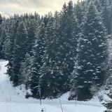 Appartement 2 pièces / 65 m² / 132 000 € / SELONNET