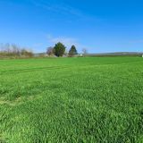 Terrain 5391 m² / VAUDEMANGE / 51380