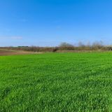 Terrain 5391 m² / VAUDEMANGE / 51380