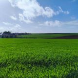 Terrain 5391 m² / VAUDEMANGE / 51380