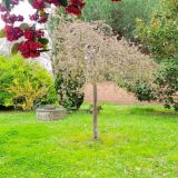 Maison 5 pièces / 88 m² / 247 000 € / COLOMIERS