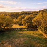 Maison 8 pièces / 300 m² / 588 000 € / DURFORT-ET-SAINT-MARTIN-DE-SOSSENAC