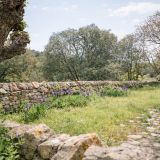 Maison 8 pièces / 300 m² / 588 000 € / DURFORT-ET-SAINT-MARTIN-DE-SOSSENAC