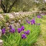 Maison 8 pièces / 300 m² / 588 000 € / DURFORT-ET-SAINT-MARTIN-DE-SOSSENAC