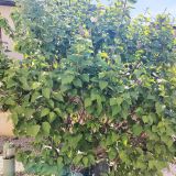 Maison 5 pièces / 102 m² / 365 000 € / RILLIEUX-LA-PAPE