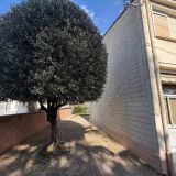 Maison 5 pièces / 114 m² / 148 000 € / CASTRES
