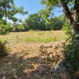 Terrain 537 m² / SAINT-PHILBERT-DE-GRAND-LIEU / 44310