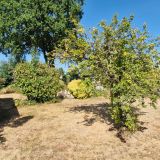 Maison 6 pièces / 115 m² / 219 000 € / SAINT-PHILBERT-DE-GRAND-LIEU