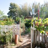 Maison 5 pièces / 140 m² / 198 000 € / SAINT-BENOIT-DE-CARMAUX
